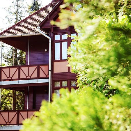 Ezuestfenyo Hotel Telkibánya 外观 照片