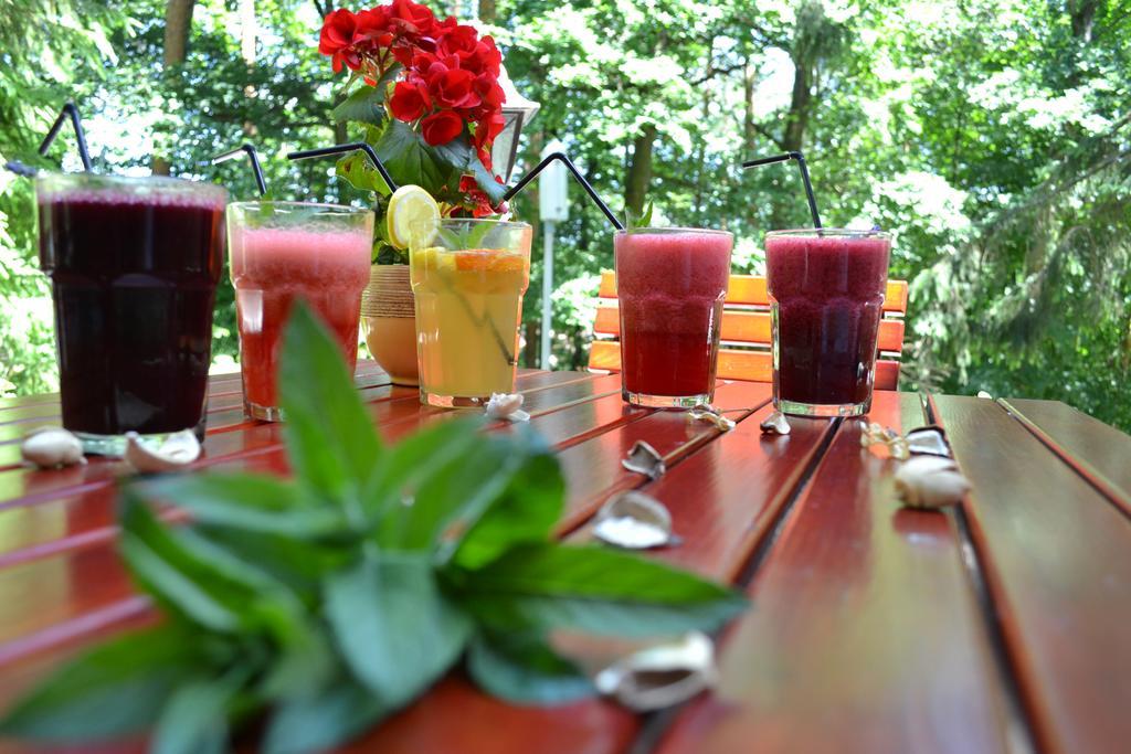 Ezuestfenyo Hotel Telkibánya 外观 照片