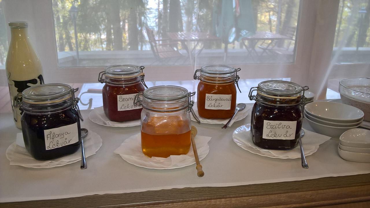 Ezuestfenyo Hotel Telkibánya 外观 照片